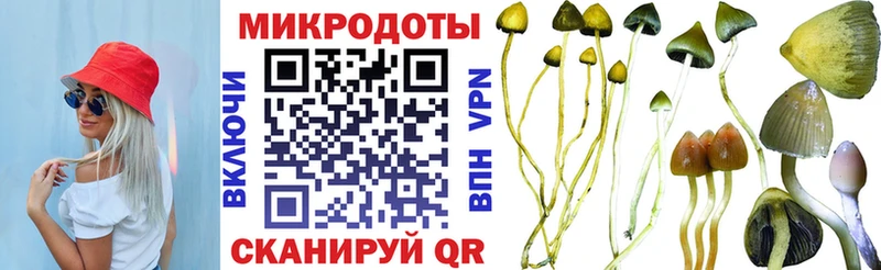 Галлюциногенные грибы GOLDEN TEACHER Пласт