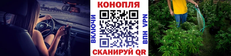 МАРИХУАНА SATIVA & INDICA  кракен зеркало  Пласт 